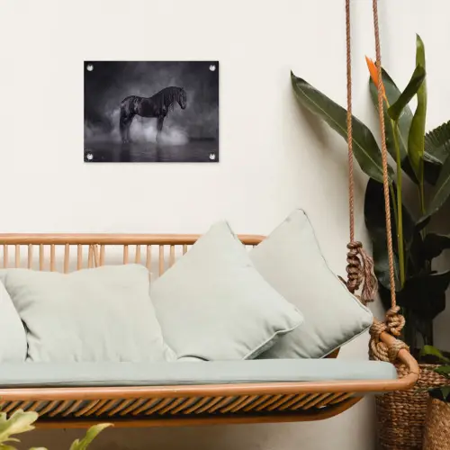 Paard - Magisch - Zwart tuinposter los doek klein -sfeer7
