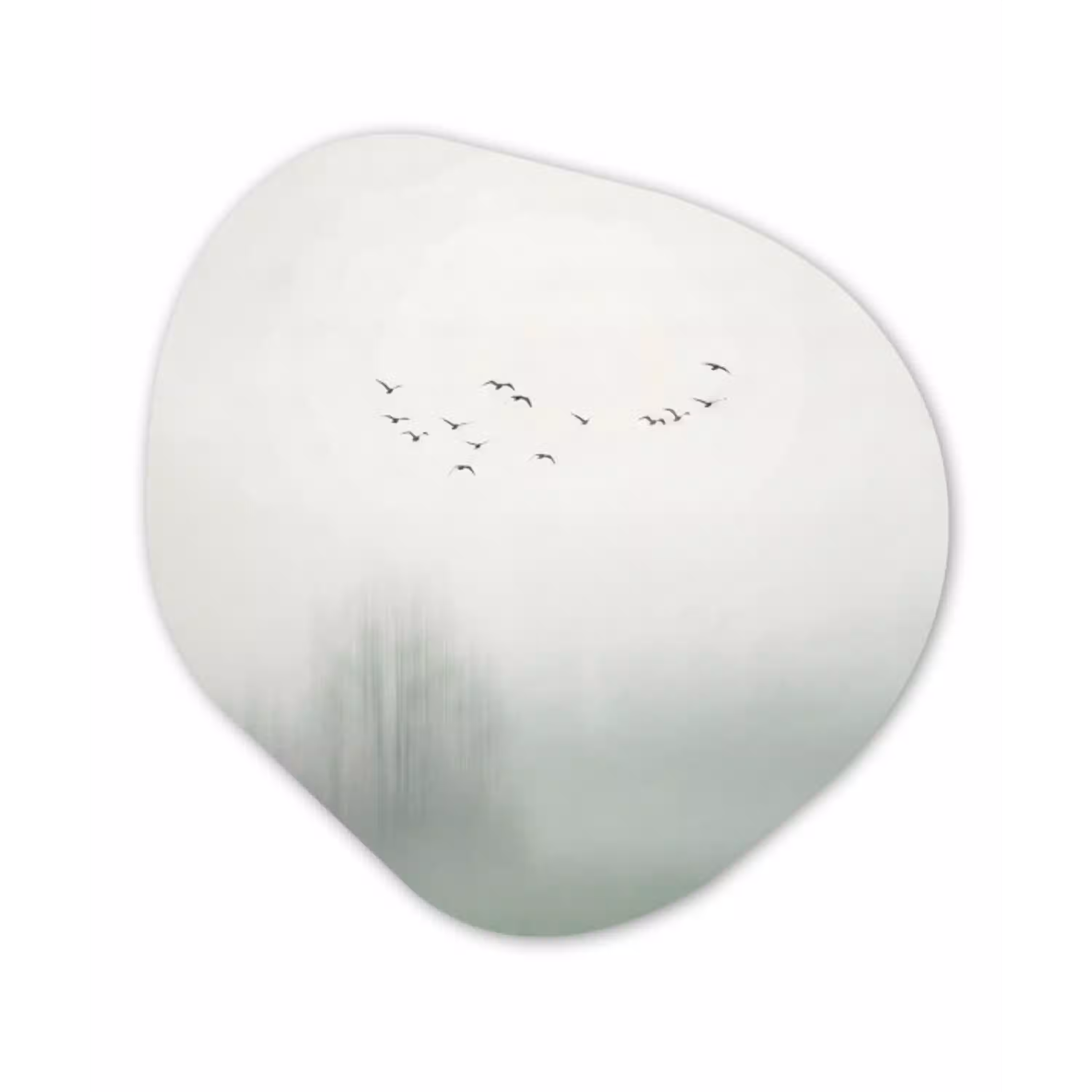 Vogel - Vlucht - Natuur - Minimalistisch Wandcirkel Organisch Aluminium middel -3d