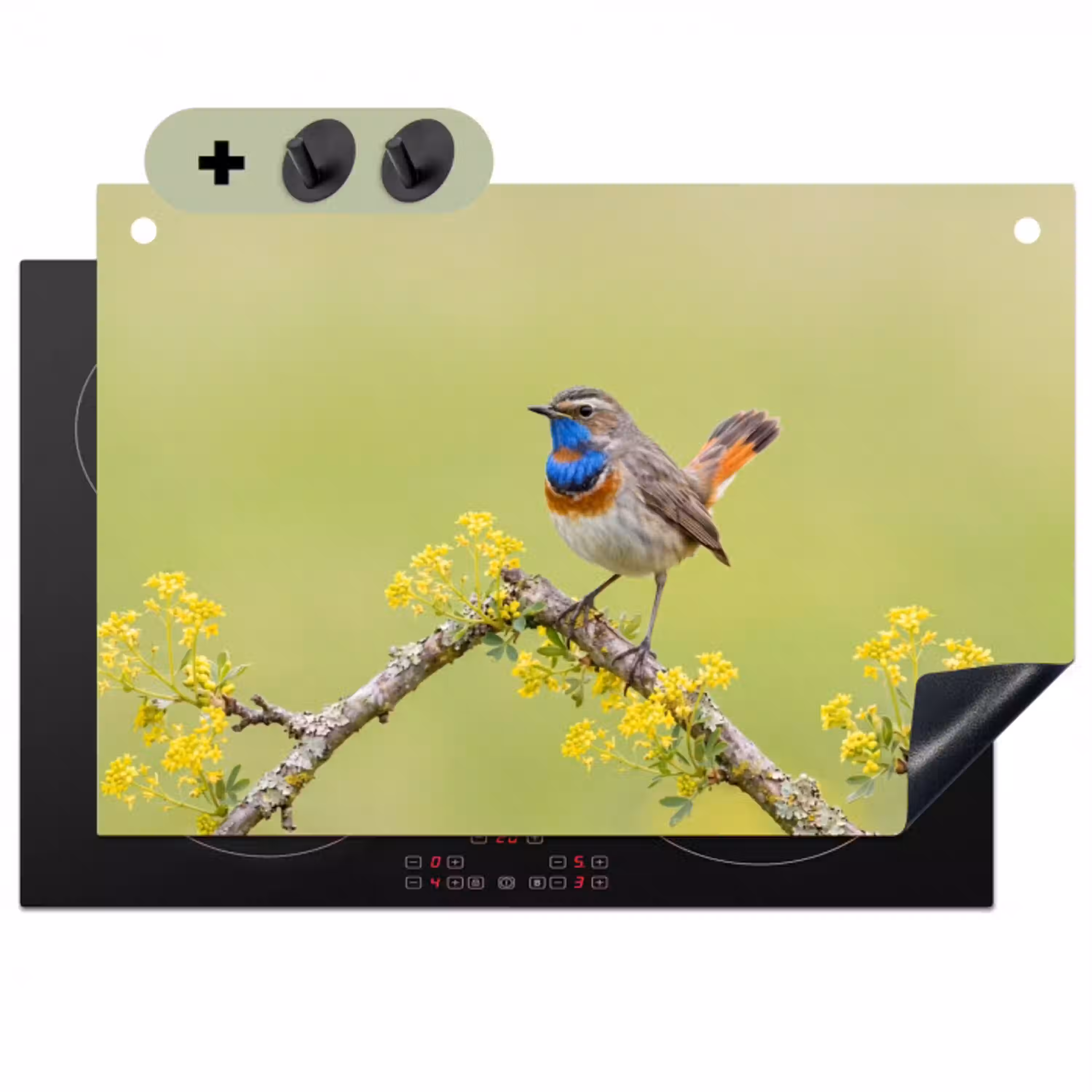 Vogel - Tak - Natuur - Kleurrijk Inductie beschemer met haakjes klein -3d