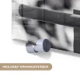 Springen - Paard - Zwart - Wit plexiglas 5mm klein -zzsysteem_NL