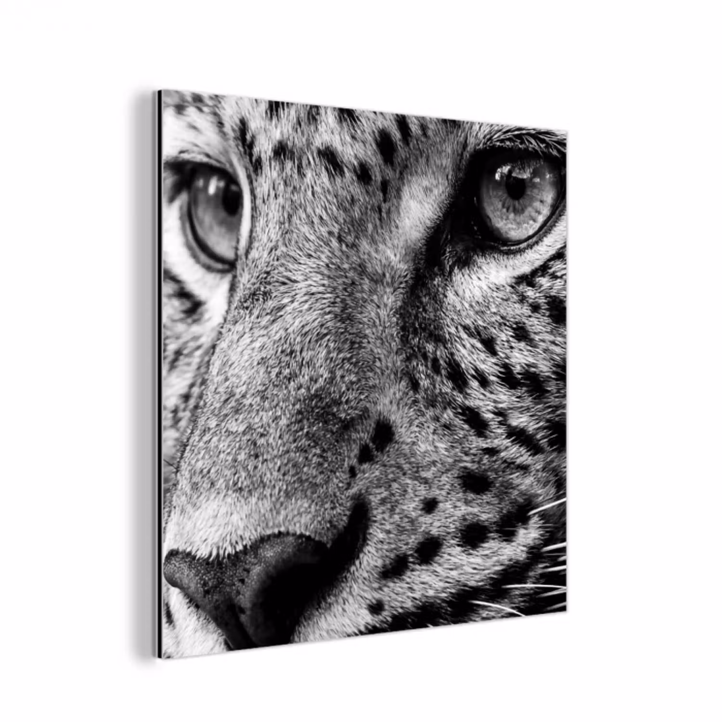 Luipaard - Zwart - Wit - Oog aluminium wit klein -3d