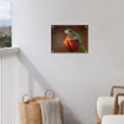 Close-up - Kikker - Tulp - Rood tuinposter los doek klein -sfeer8