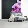 Orchidee - Bloemen - Roze - Flora fotobehang vinyl groot -slaapkamer