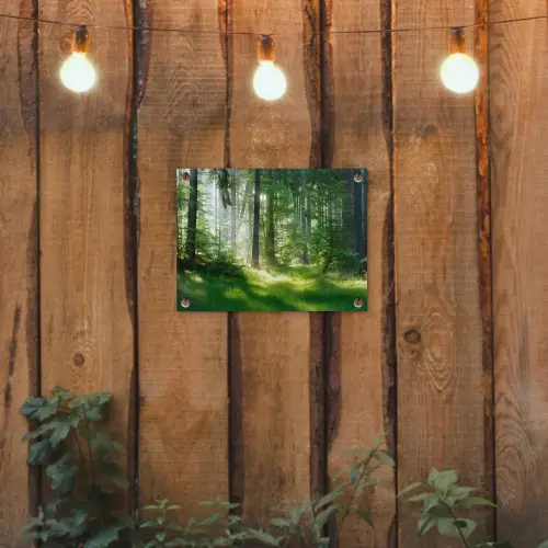 Zonnestralen in een groen bos tuinposter los doek klein -sfeer1