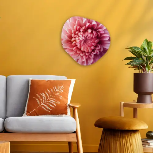 Dahlia - Bloem - Close up - Roze Wandcirkel Organisch Forex 3mm klein -sfeer4