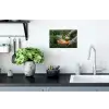 Veld - Groenten - Biologisch - Oogst Muursticker klein -keuken