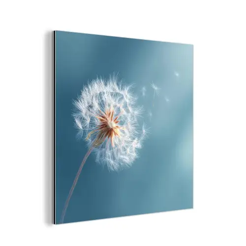 Paardenbloem - Wind - Blauw aluminium wit klein -3d