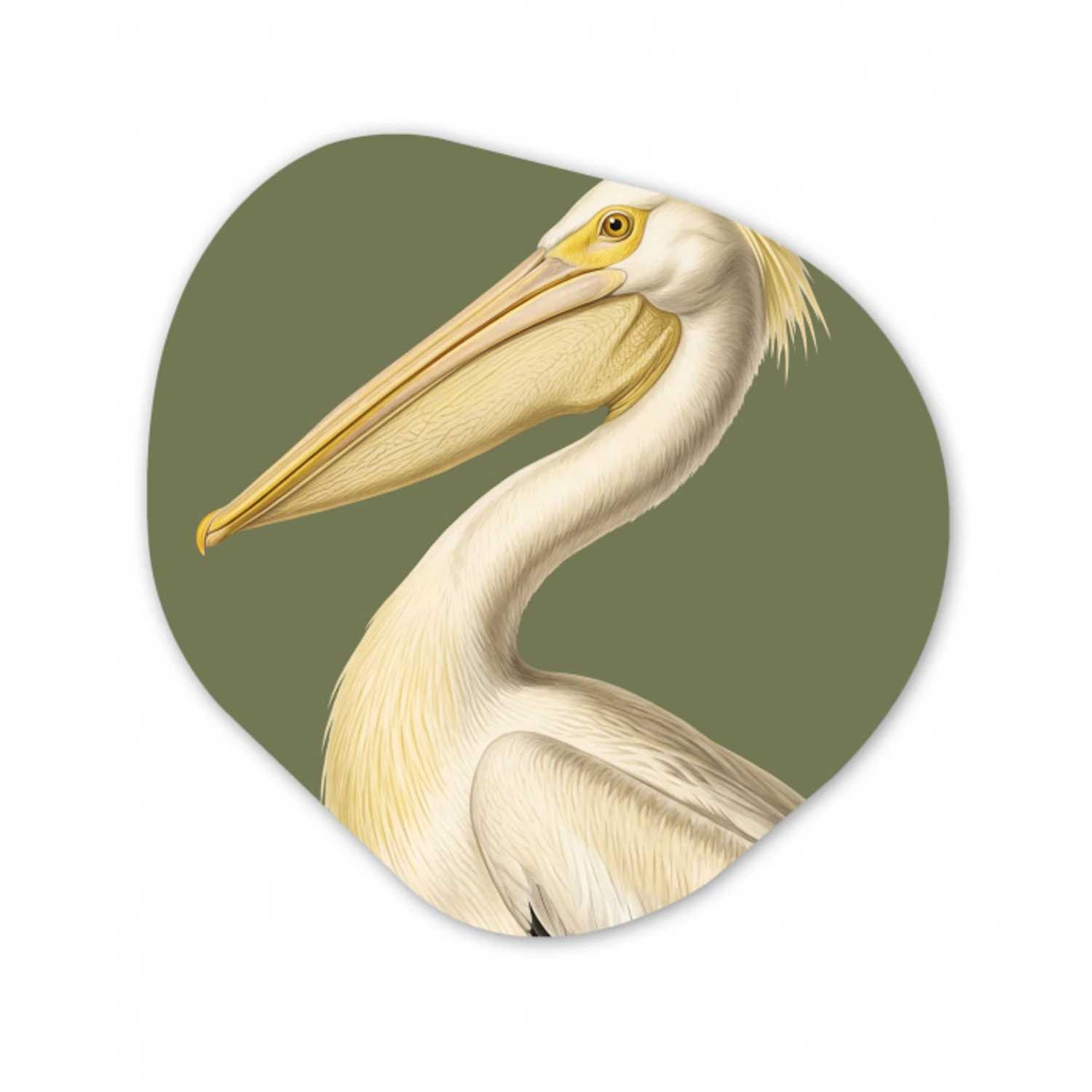 Pelikaan - Wit - Vogel - Klassiek - Natuur Wandcirkel Organisch Forex 3mm klein -3d