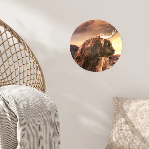 Schotse hooglander - Zon - Horizon - Koe - Dieren Wandcirkel behangsticker klein -sfeer4