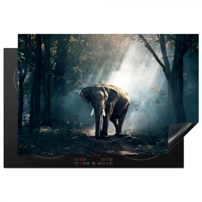 Olifant - Dieren - Licht - Bos - Natuur - Wilde dieren Inductie beschermer vinyl 3mm klein -3d