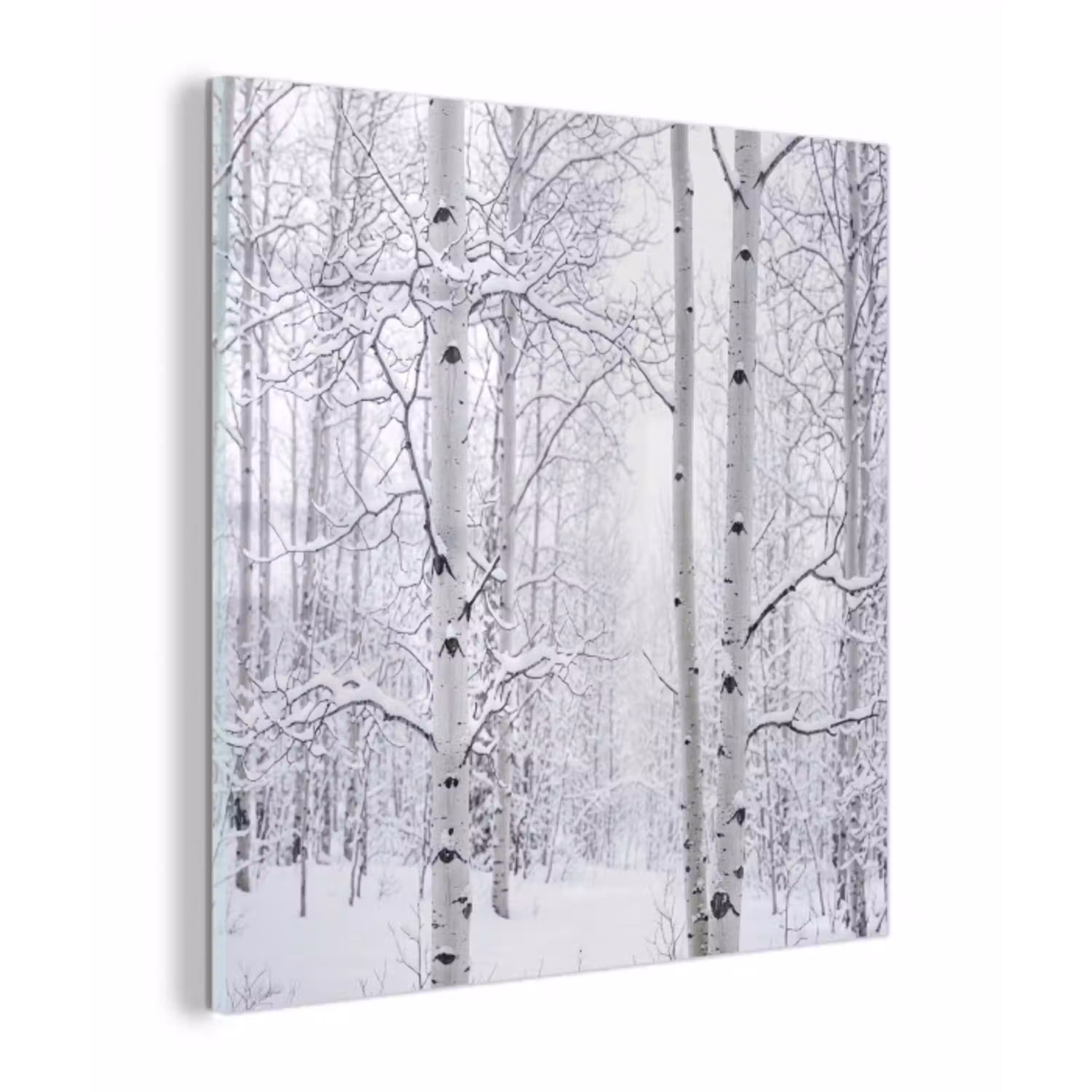 Berkenbomen - Sneeuw - Winter - Bos - Wit plexiglas 5mm klein -z3d