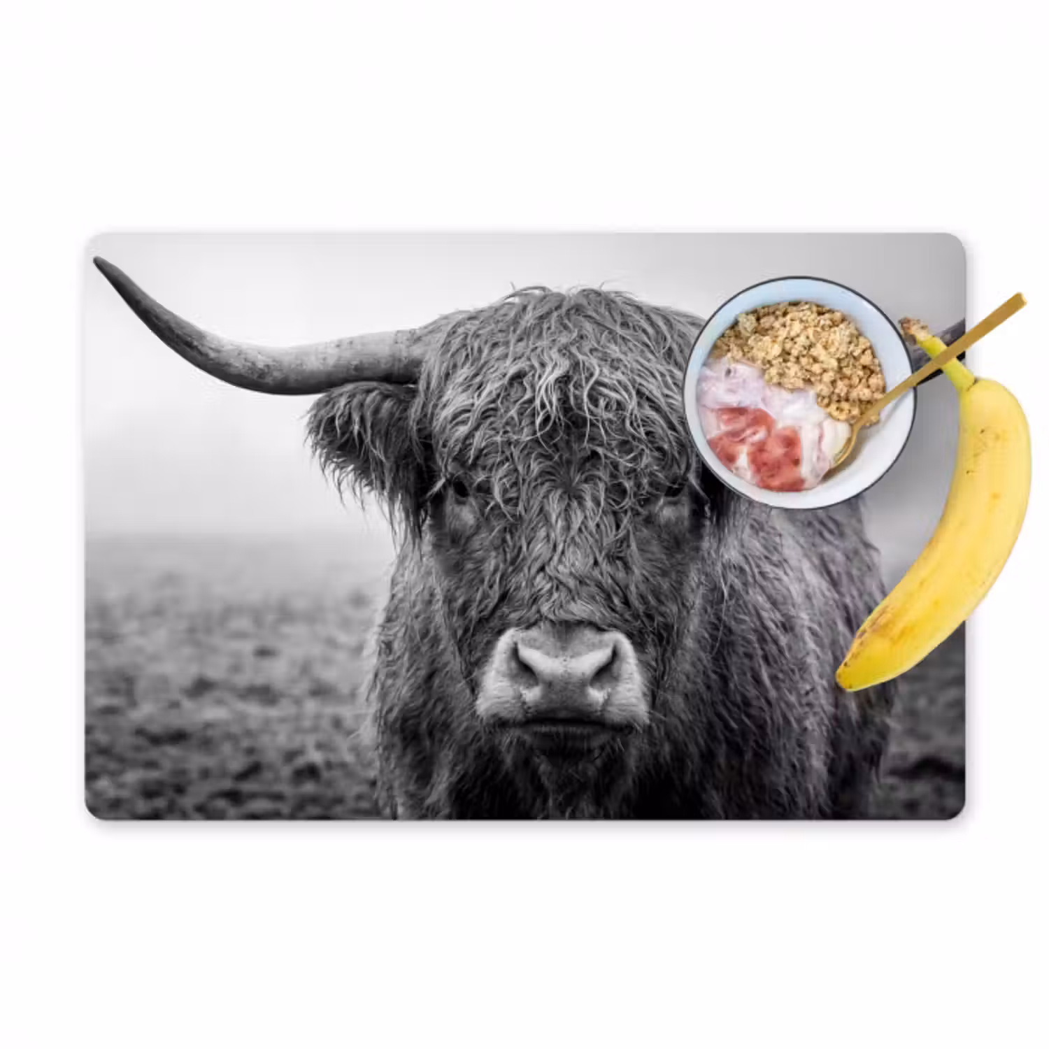 Tischset - 6 Stück - Schottischer Highlander - Schwarz - Weiß - Gras
