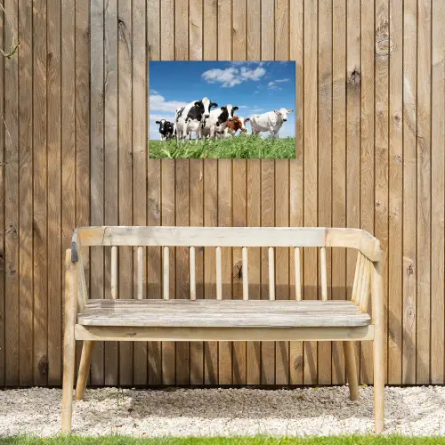 Koeien in de weide Tuinposter op houten frame 2 cm dik klein -sfeer4