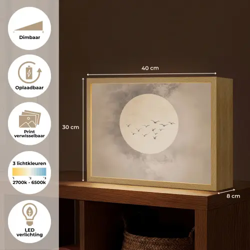 Vogel - Beige - Japandi Light Box met batterij (Wandlamp) middel -USP_websiteoverzichtNL