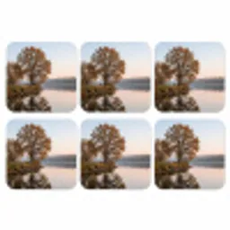 Bomen - Reflectie - Water - Zonsopgang - Serene onderzetter kurk middel -3d