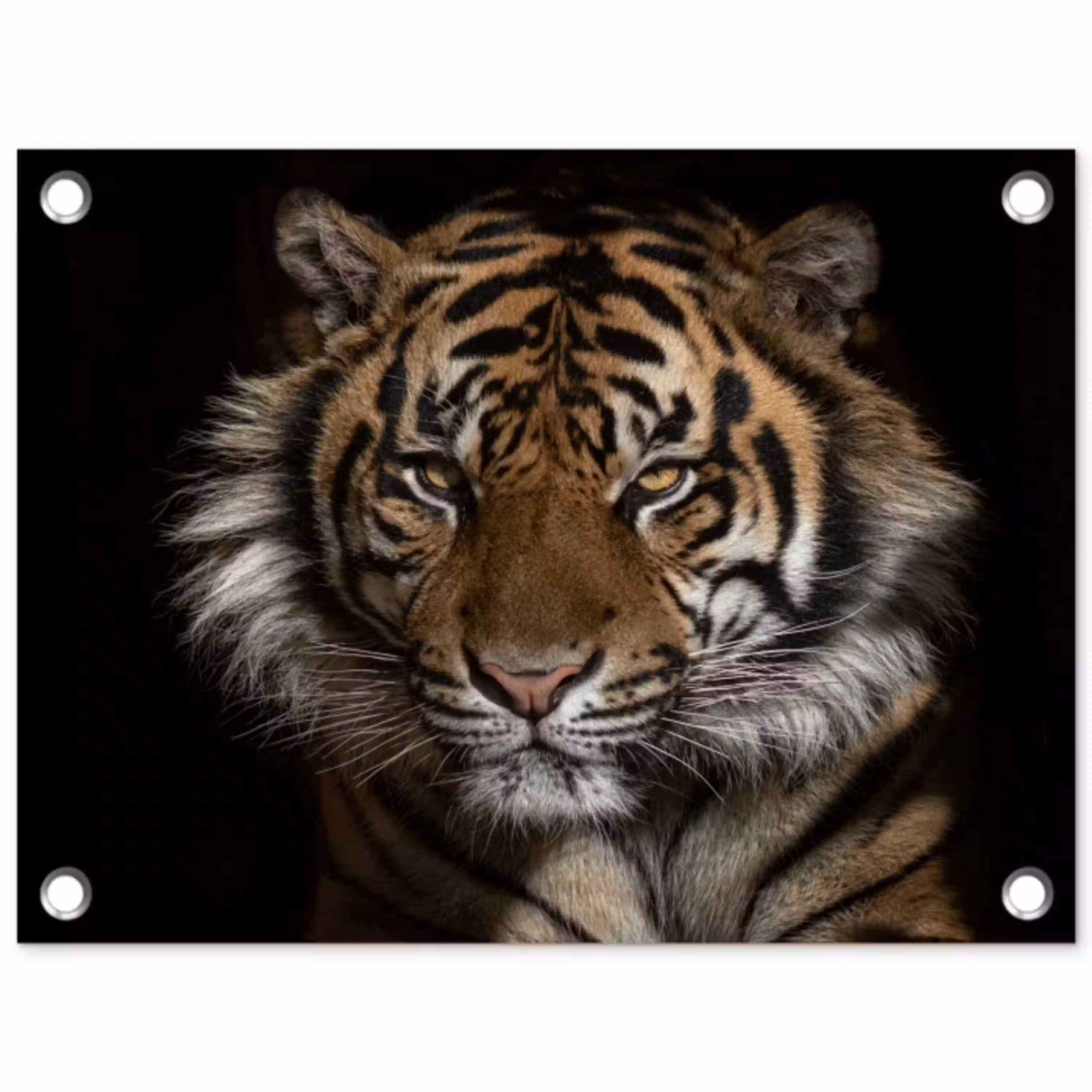 Tijger - Wilde dieren - Portret tuinposter los doek klein -3d