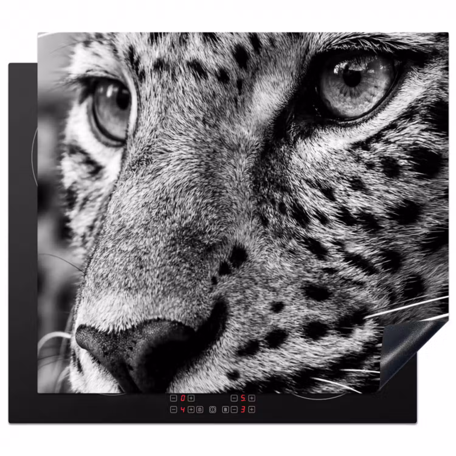 Herdabdeckplatte - Leopard - Schwarz - Weiß - Auge