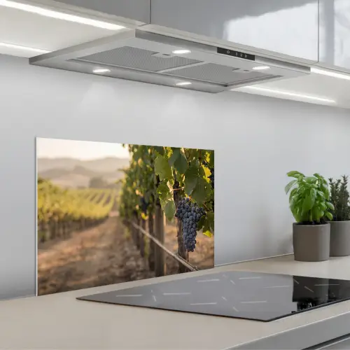Druiven - Wijngaard - Zonlicht keuken achterwand spatscherm klein -3d_schuin