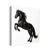 Zwart - Paard - Portret aluminium wit klein -3d