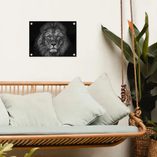 Leeuw - Dieren - Zwart - Wit tuinposter los doek klein -sfeer7