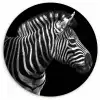 Zebra - Zwart - Wit - Portret - Dieren Wandcirkel kunststof plaat 5mm dik klein -3d