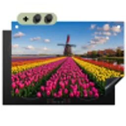 Tulpen - Holland - Molen - Kleurrijk Inductie beschemer met haakjes klein -3d