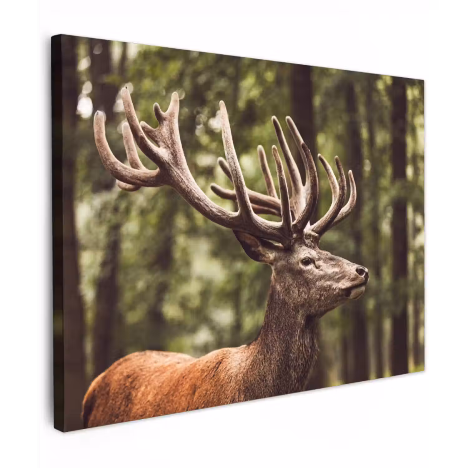 Canvas schilderij - Hert - Natuur - Gewei - Bos - Dieren