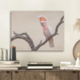 Papagaai - Tak - Roze PET vilt klein -sfeer1
