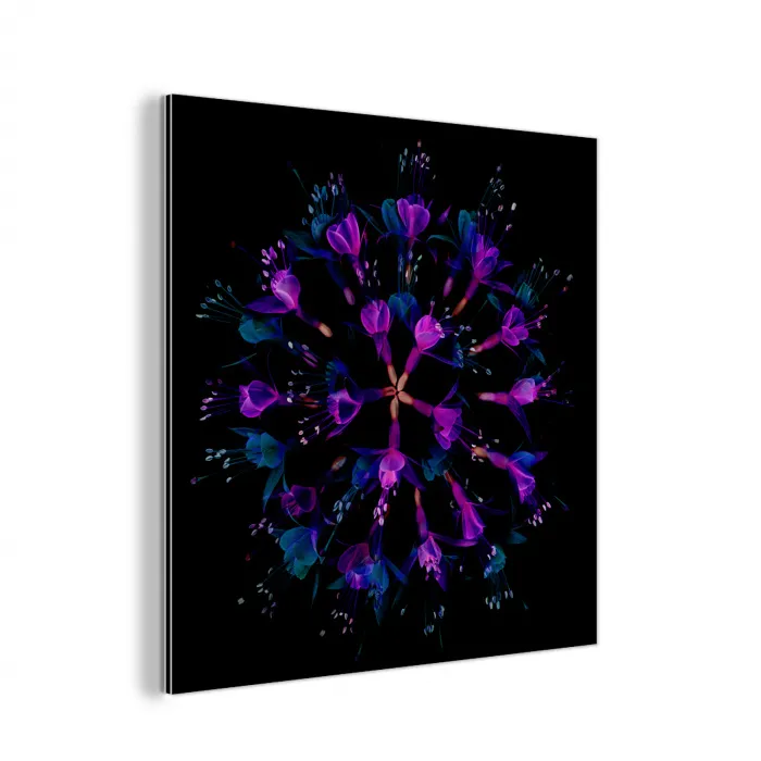 Bloem - Paars - Blauw - Macro - Zwart aluminium wit klein -3d