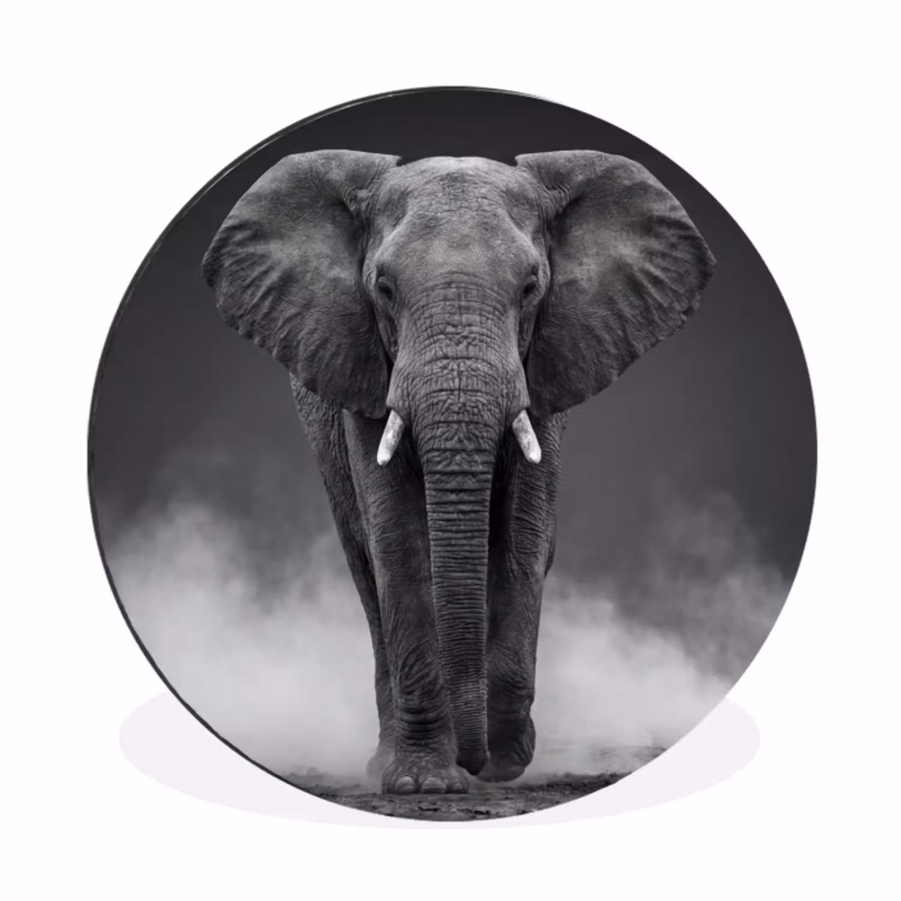 Olifant - Zwart - Wit - Rook Wandcirkel aluminium klein -3d