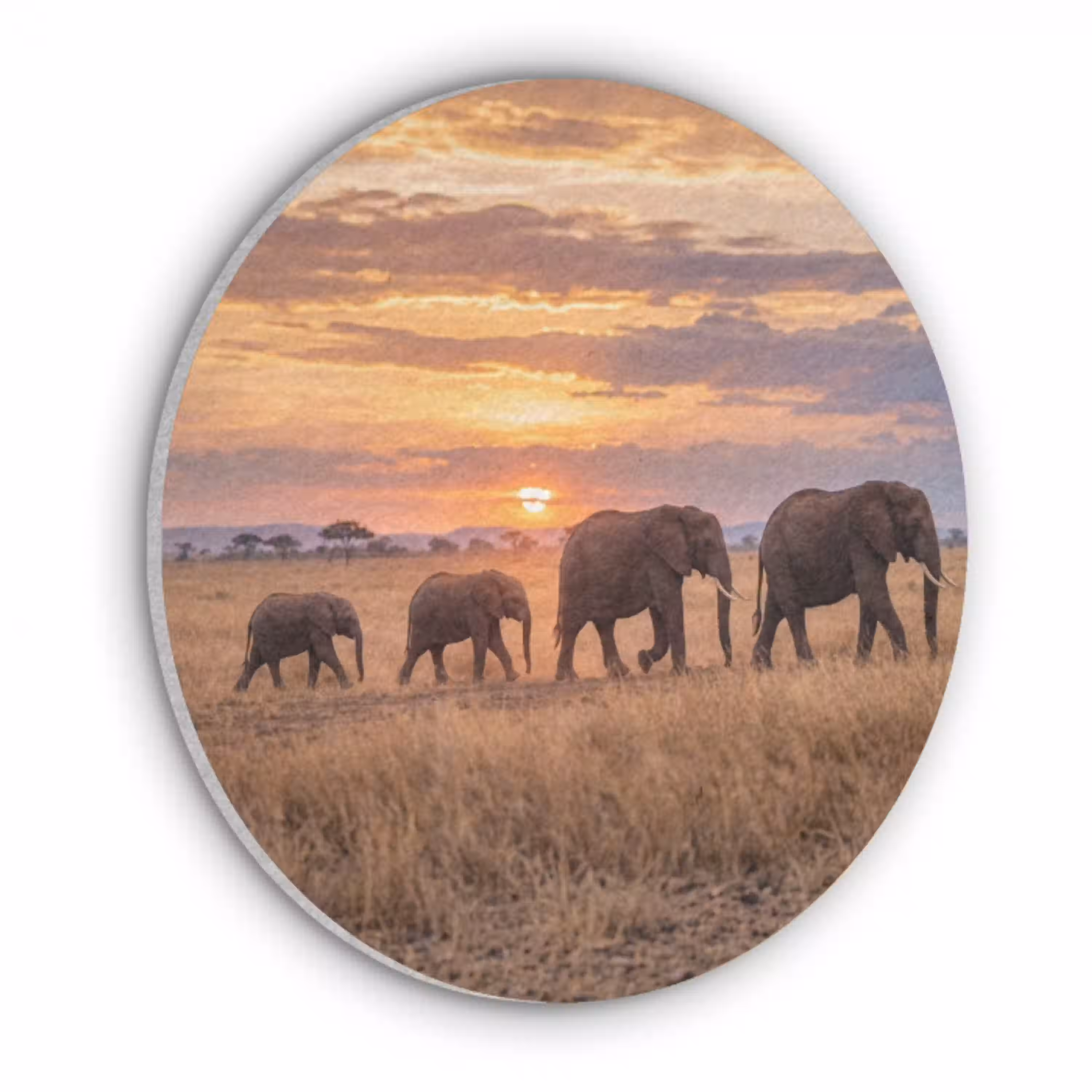 Olifanten - Savanne - Zonsondergang - Afrika - Warm Akoestische PET Vilt - Rond klein -3d