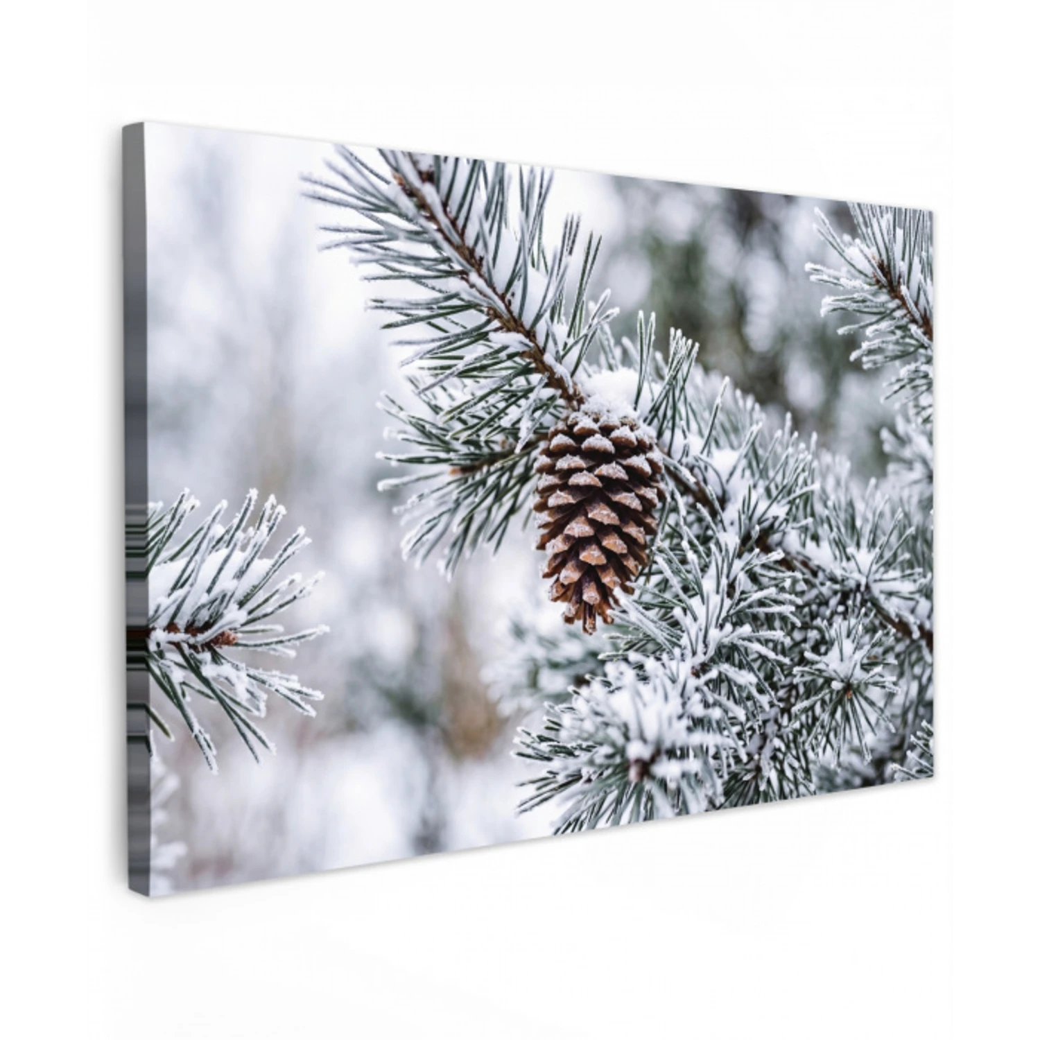 Dennenappel - Tak - Sneeuw - Winter - Sfeervol canvas 2cm klein -z3d