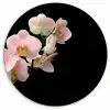 Orchidee - Bloemen - Roze - Stilleven - Flora Wandcirkel kunststof plaat 5mm dik klein -3d