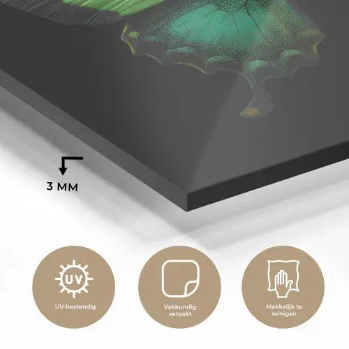 Vlinder - Groen - Opvallend plexiglas 5mm klein -sfeer2