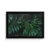 Monstera - Bladeren - Tropisch - Jungle fotolijst zwart zonder passe partout klein -3d