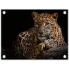 Wilde dieren - Panter - Portret - Zwart - Dieren tuinposter los doek klein -3d