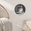 Langharige kat - Zonnebril - Spaghetti - Humor - Zwart - wit Akoestische PET Vilt - Rond klein -sfeer4
