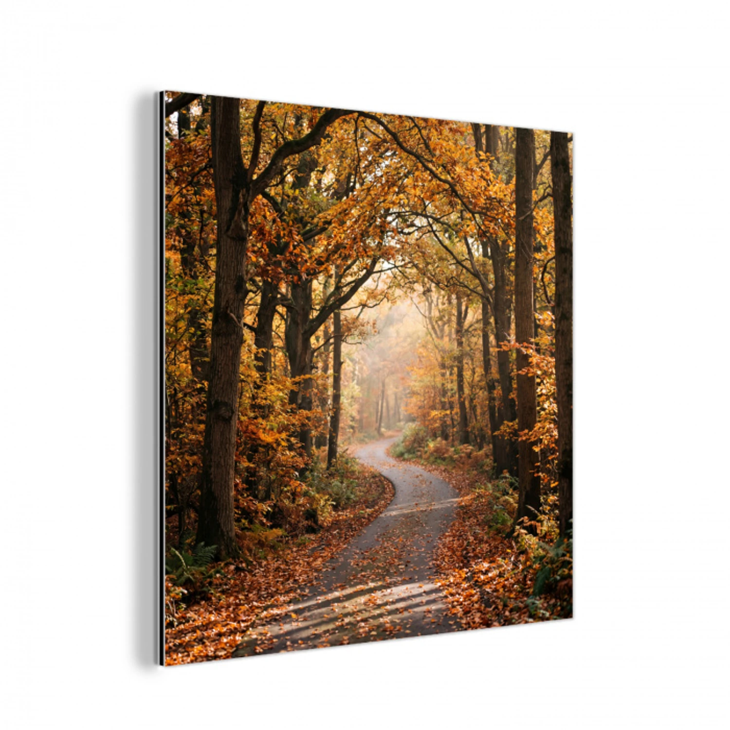 Bospad - Herfstbos - Bladeren - Oranje - Nostalgisch aluminium wit klein -3d