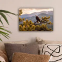 Zeearend - Boom - Bergen - Groen canvas 2cm klein -sfeer1