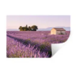 Lavendel - Landschap - Sereen - Paars Muursticker klein -3d