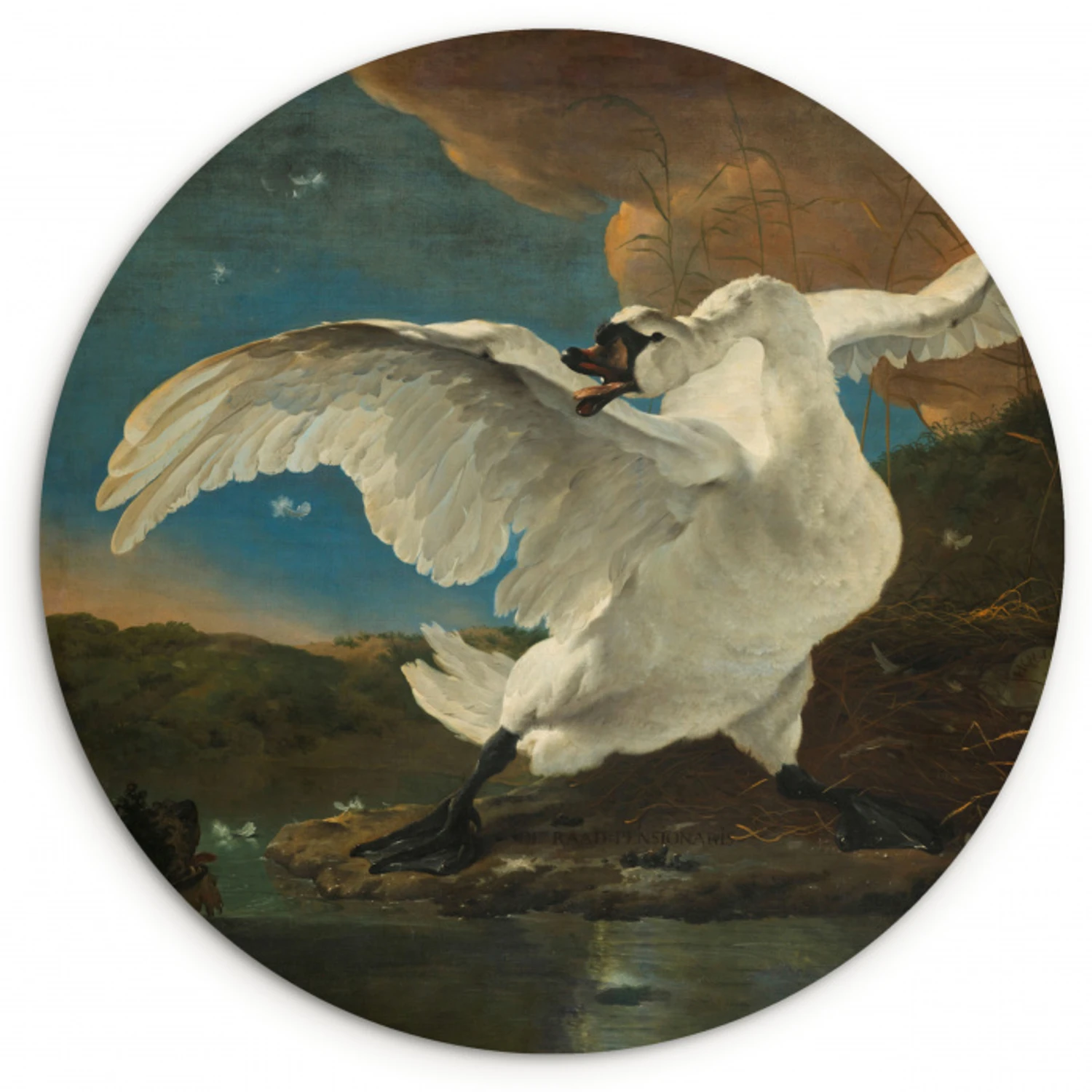 Zwaan - Oude meesters - Jan Asselijn Wandcirkel kunststof plaat 5mm dik klein -3d