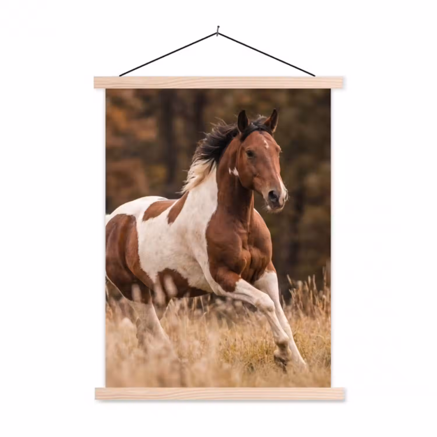 Stoffbild - Pferd - Braun - Gras