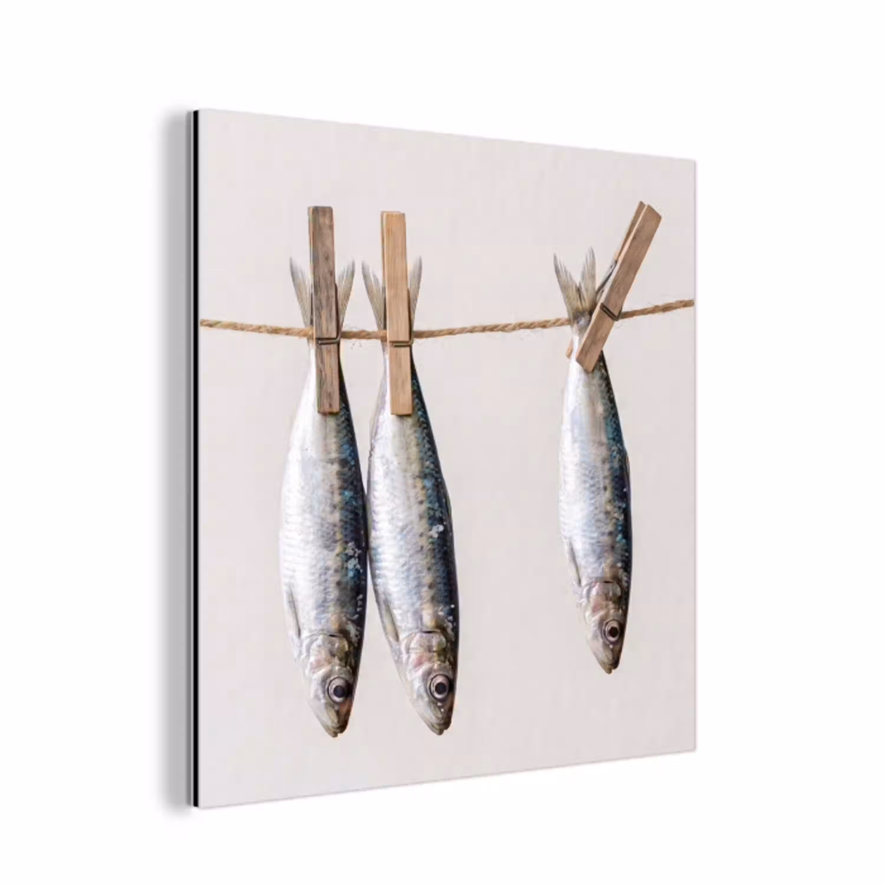 Vis - Hangend - Eten aluminium wit klein -3d