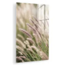 Gras - Close up - Groen plexiglas 5mm klein -zzzproduct_nieuw