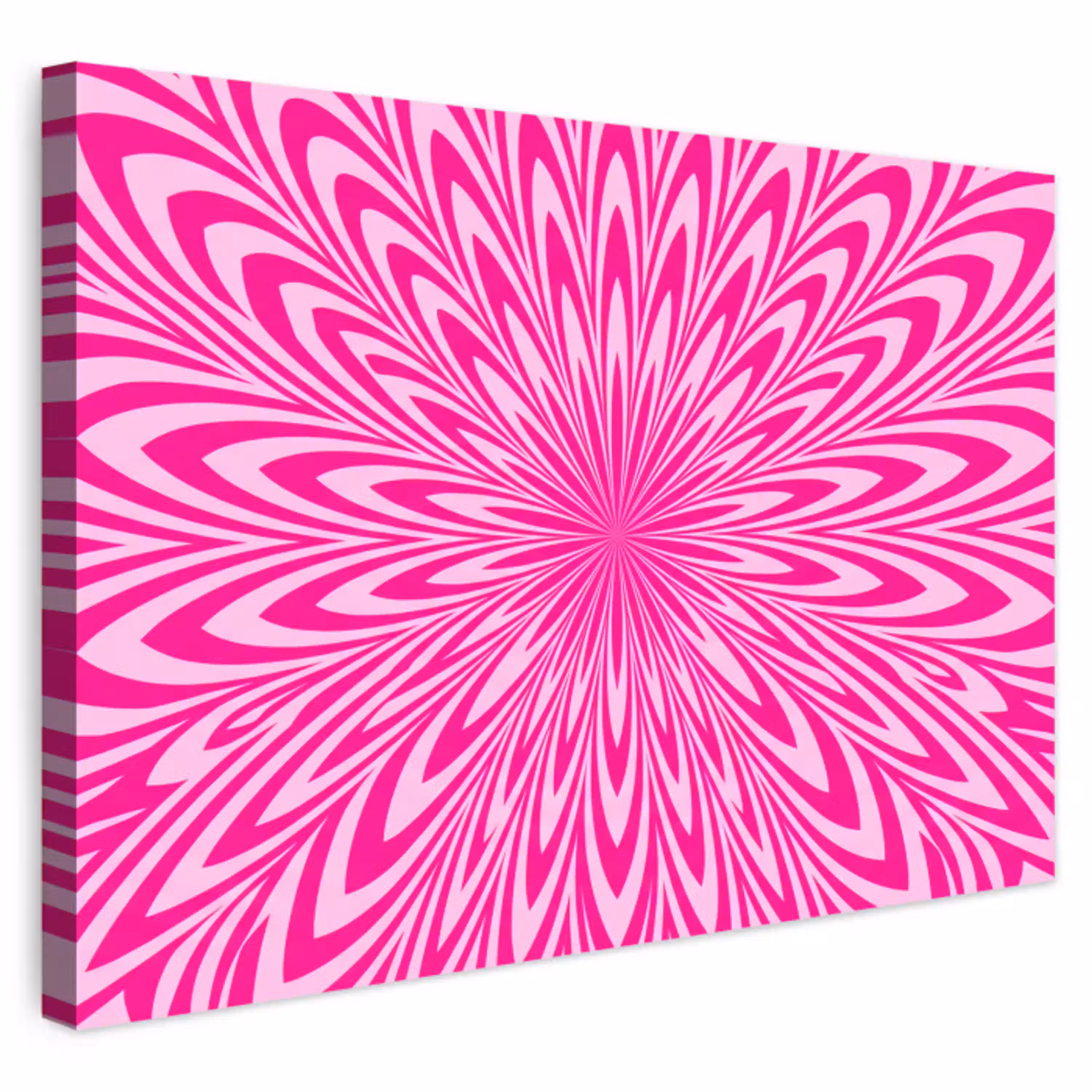 Patroon - Optisch - Roze Tuinposter op houten frame 2 cm dik klein -3d