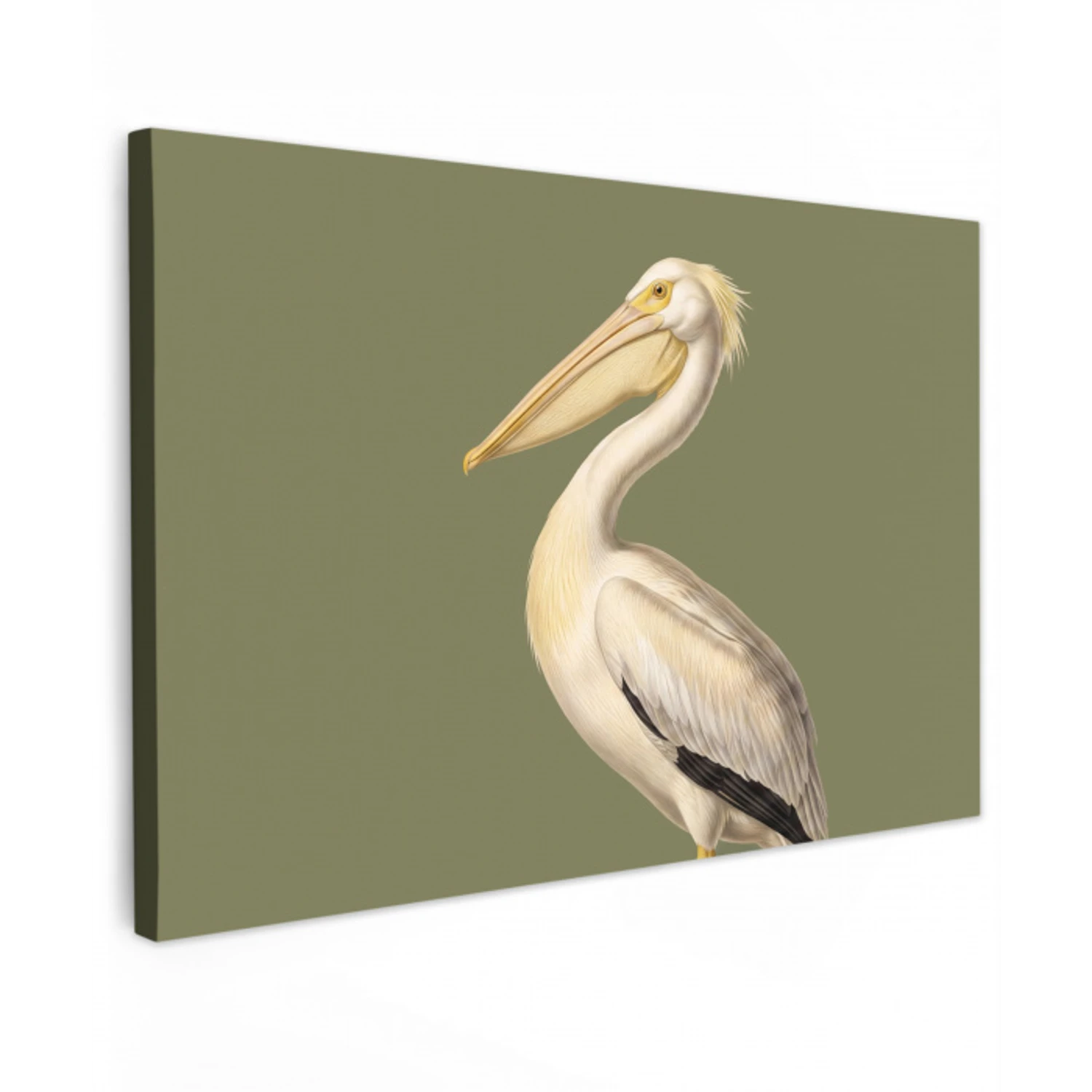 Pelikaan - Wit - Vogel - Klassiek - Natuur canvas 2cm klein -z3d