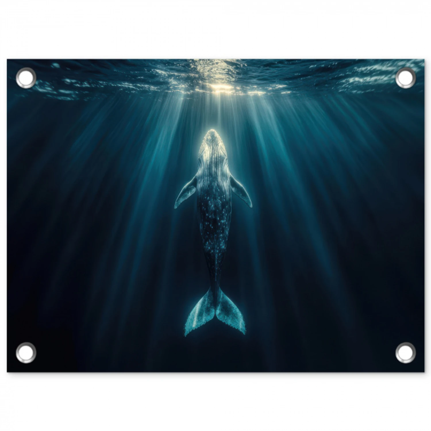 Walvis - Water - Zonnestralen - Blauw tuinposter los doek klein -3d