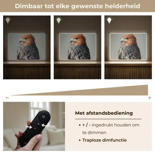 Vogel - Realistisch - Veren - Bruin Light Box met batterij (Wandlamp) middel -USP_dimbaarNL