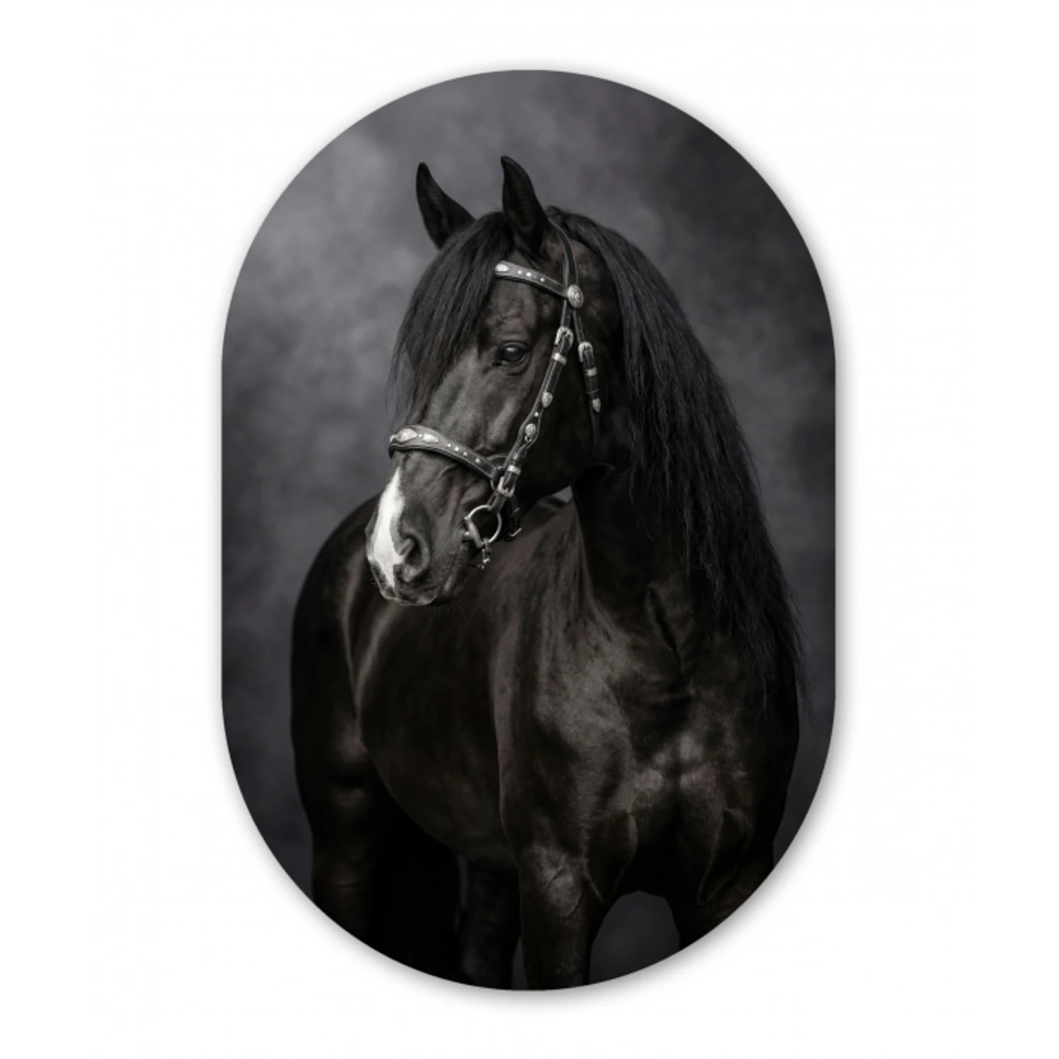 Portret - Paard - Zwart Wandcirkel Ovaal Aluminium middel -3d