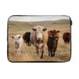 Runderen - Kudde - Landschap - Weide - Rustig laptophoes neopreen klein -3d